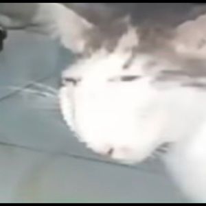 Meet your Posher, Arturo